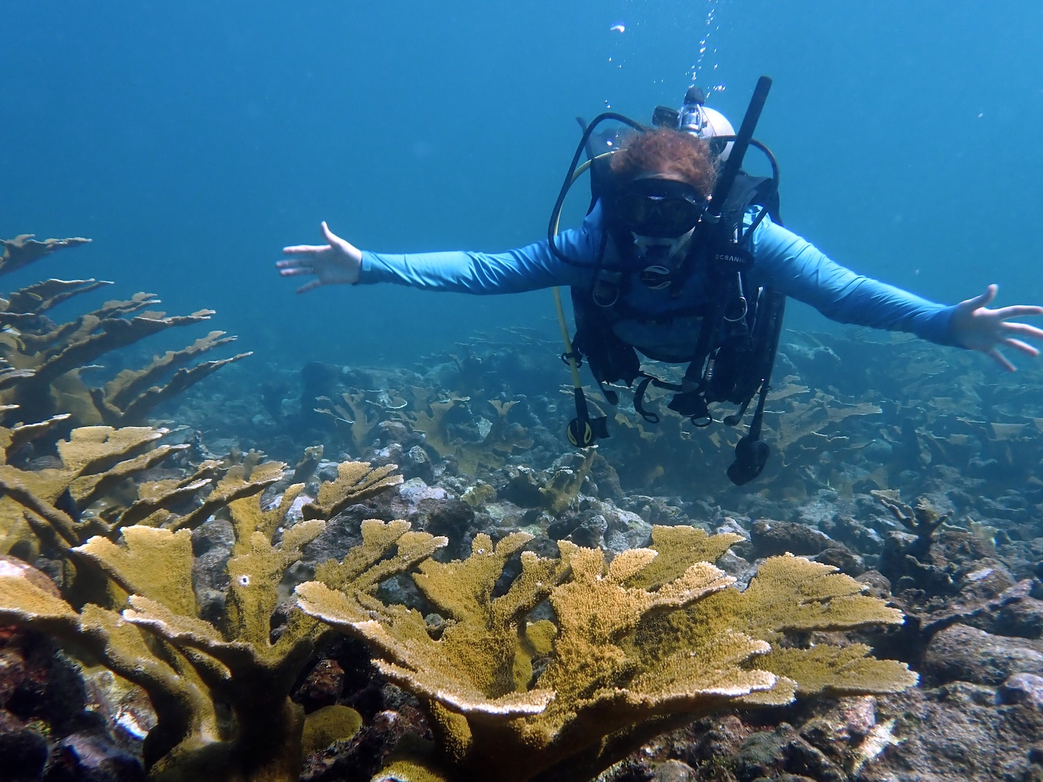 Diver on reef holding their arms out stretched to show the size of the coral as he looks to the camera.
